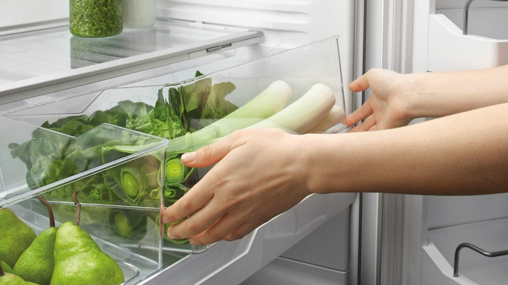 6 Jenis Sayuran yang Wajib Disimpan di Kulkas